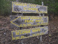 rrente Quarantore-201011107 151